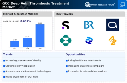 GCC Deep Vein Thrombosis Treatment Market Infographic