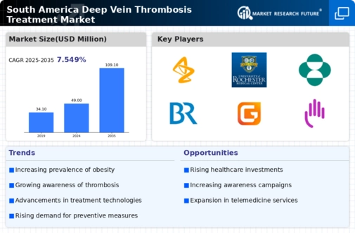 South America Deep Vein Thrombosis Treatment Market Infographic