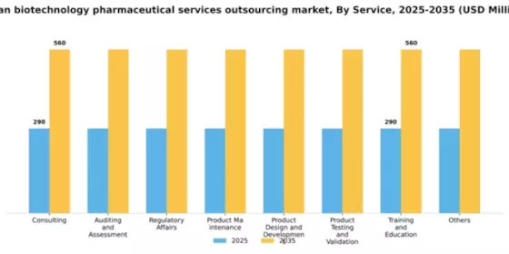 Japan Biotechnology Pharmaceutical Services Outsources Market Segment Image 1