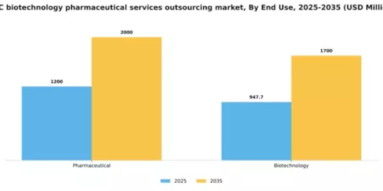 GCC Biotechnology Pharmaceutical Services Outsources Market Segment Image 0