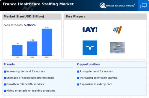 France Healthcare Staffing Market Infographic