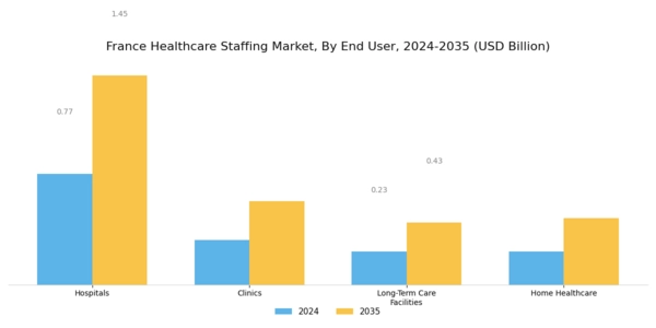 France Healthcare Staffing Market Segment Image 1