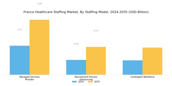 France Healthcare Staffing Market Segment Image 3