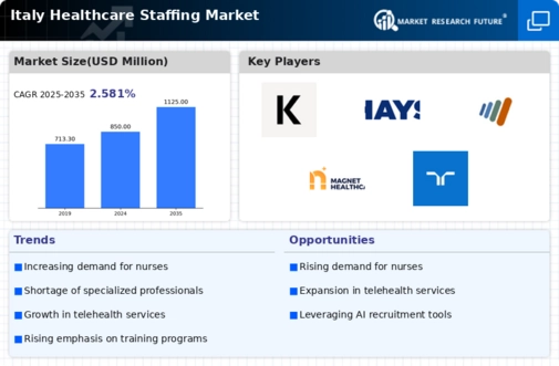 Italy Healthcare Staffing Market Infographic