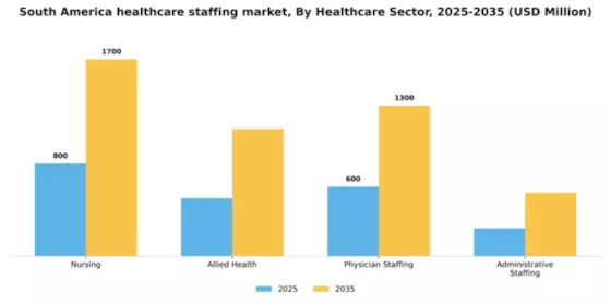 South America Healthcare Staffing Market Segment Image 1
