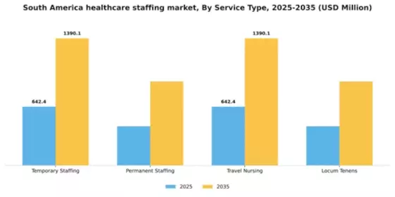 South America Healthcare Staffing Market Segment Image 2