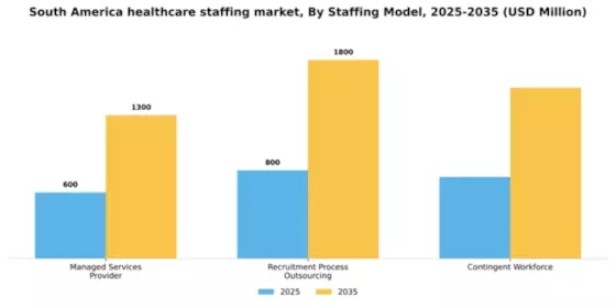 South America Healthcare Staffing Market Segment Image 3