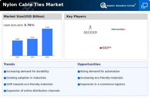 Nylon Cable Ties Market Infographic
