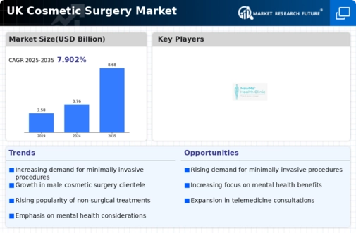 UK Cosmetic Surgery Market Infographic