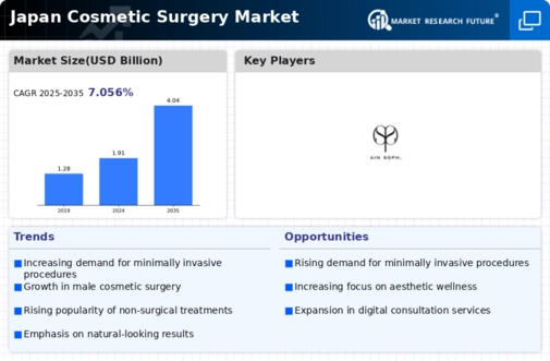 Japan Cosmetic Surgery Market Infographic