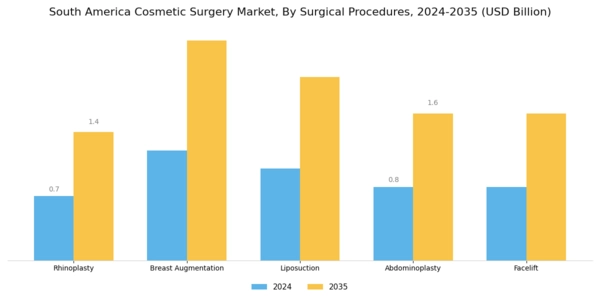 South America Cosmetic Surgery Market Segment Image 0