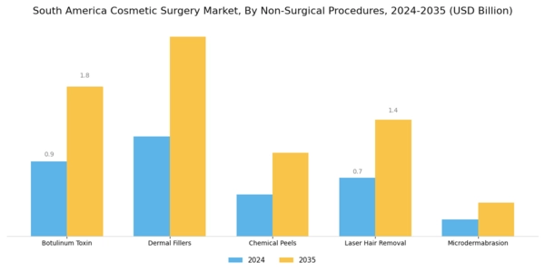 South America Cosmetic Surgery Market Segment Image 1