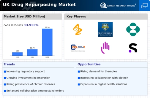 UK Drug Repurposing Market Infographic