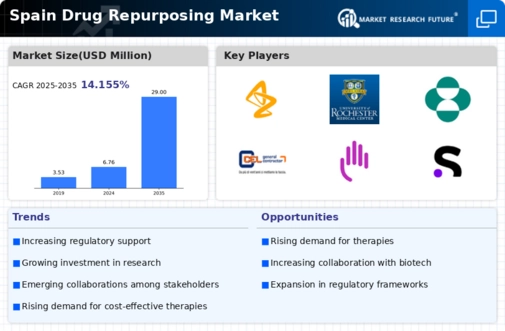 Spain Drug Repurposing Market Infographic