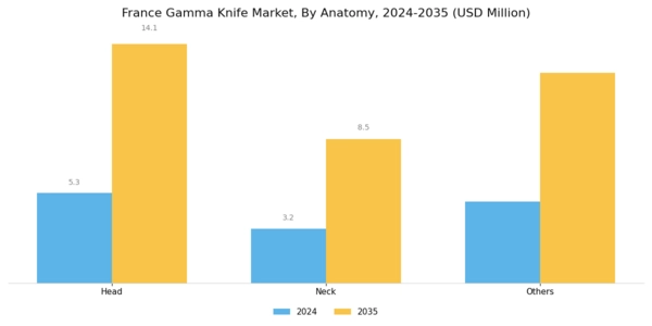 France Gamma Knife Market Segment Image 1