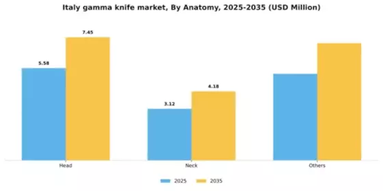 Italy Gamma Knife Market Segment Image 0
