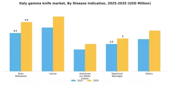 Italy Gamma Knife Market Segment Image 1