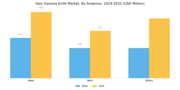Italy Gamma Knife Market Segment Image 1
