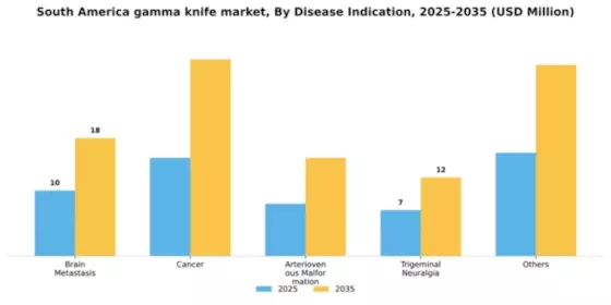 South America Gamma Knife Market Segment Image 1
