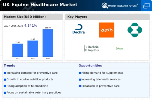 UK Equine Healthcare Market Infographic