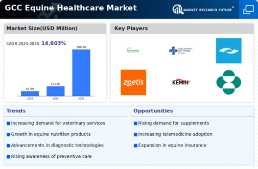 GCC Equine Healthcare Market Infographic