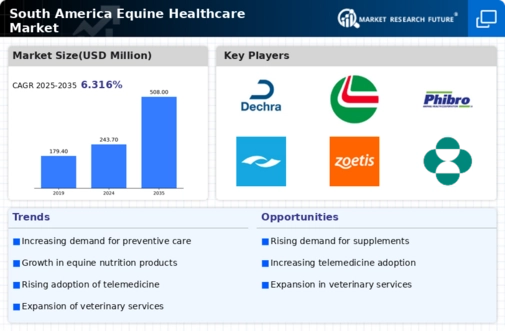 South America Equine Healthcare Market Infographic