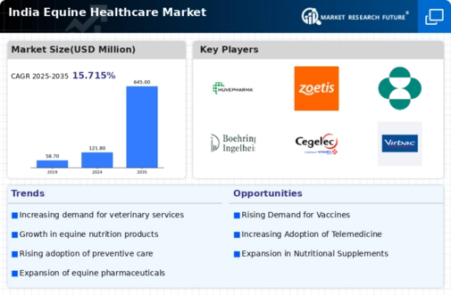 India Equine Healthcare Market Infographic