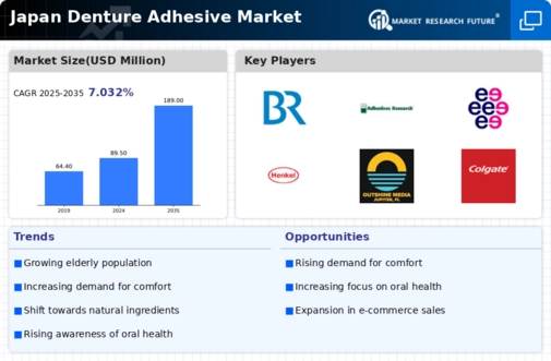Japan Denture Adhesive Market Infographic