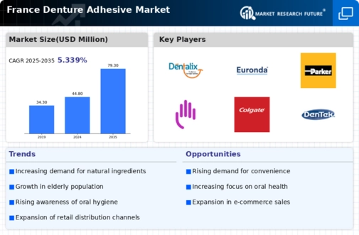 France Denture Adhesive Market Infographic