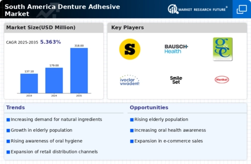 South America Denture Adhesive Market Infographic