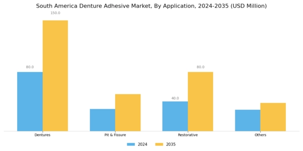 South America Denture Adhesive Market Segment Image 1