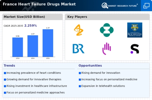 France Heart Failure Drugs Market Infographic