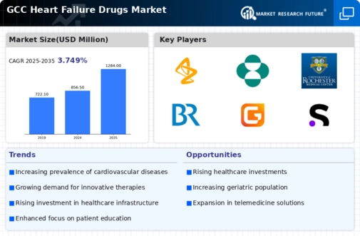 GCC Heart Failure Drugs Market Infographic