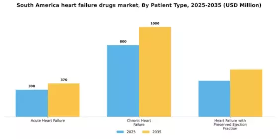 South America Heart Failure Drugs Market Segment Image 3
