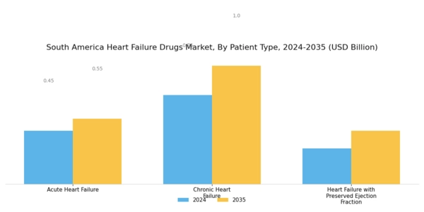 South America Heart Failure Drugs Market Segment Image 2