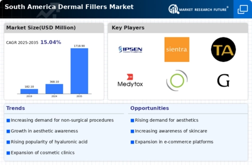 South America Dermal Fillers Market Infographic