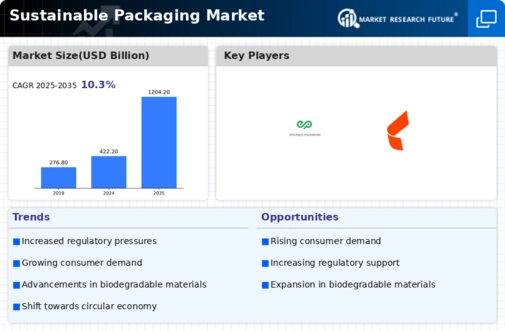 Sustainable Packaging Market Infographic