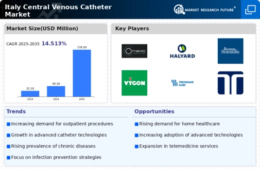 Italy Central Venous Catheter Market Infographic