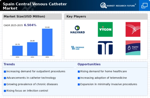 Spain Central Venous Catheter Market Infographic
