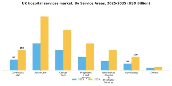UK Hospital Services Market Segment Image 1