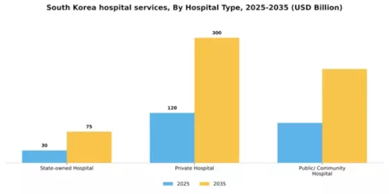 South Korea Hospital Services Market Segment Image 0