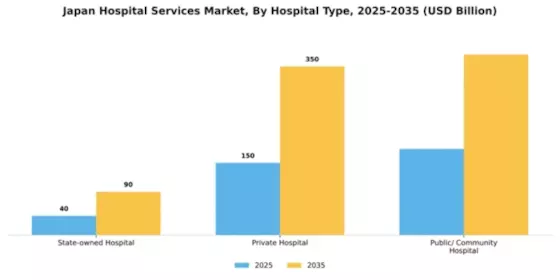 Japan Hospital Services Market Segment Image 0