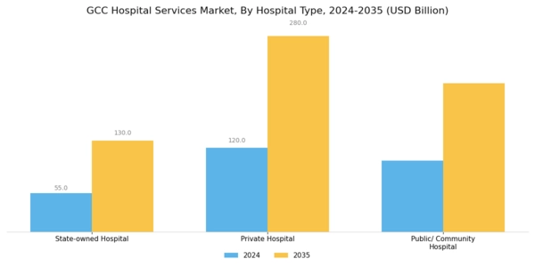GCC Hospital Services Market Segment Image 0