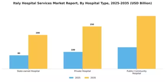 Italy Hospital Services Market Segment Image 0