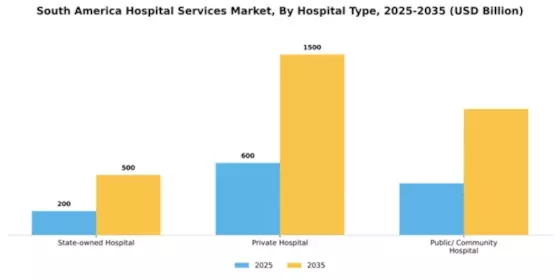 South America Hospital Services Market Segment Image 0