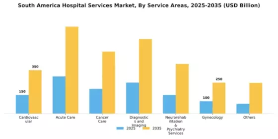 South America Hospital Services Market Segment Image 1