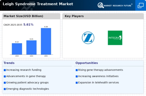 Leigh Syndrome Treatment Market Infographic