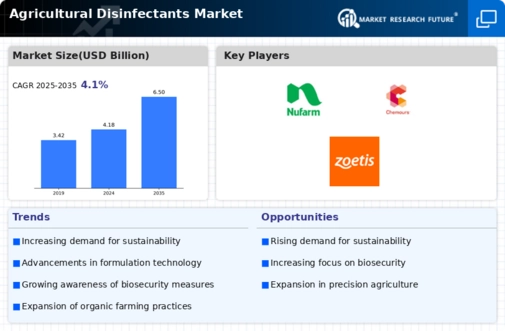 Agricultural Disinfectants Market Infographic