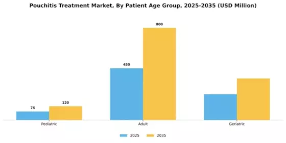 America Pouchitis Treatment Market Segment Image 2