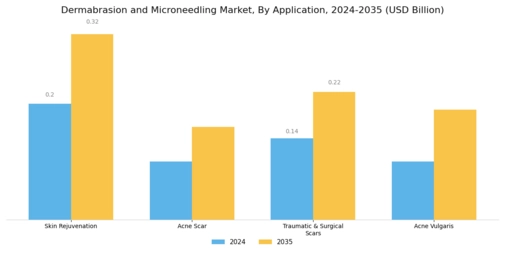 Dermabrasion and Microneedling Market Segment Image 2